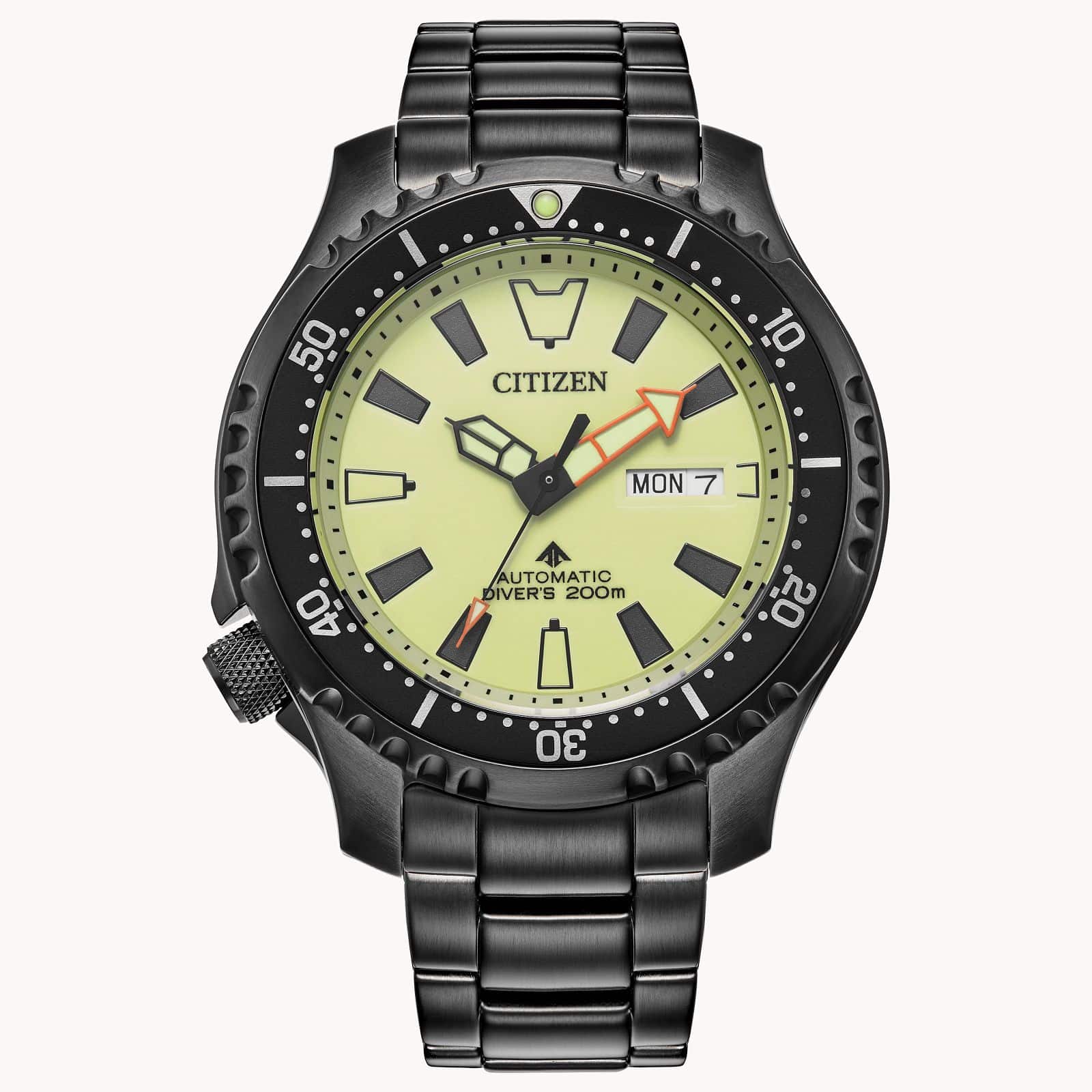 Black Stainless Steel Promaster Diver Automatic Watch by Citizen
